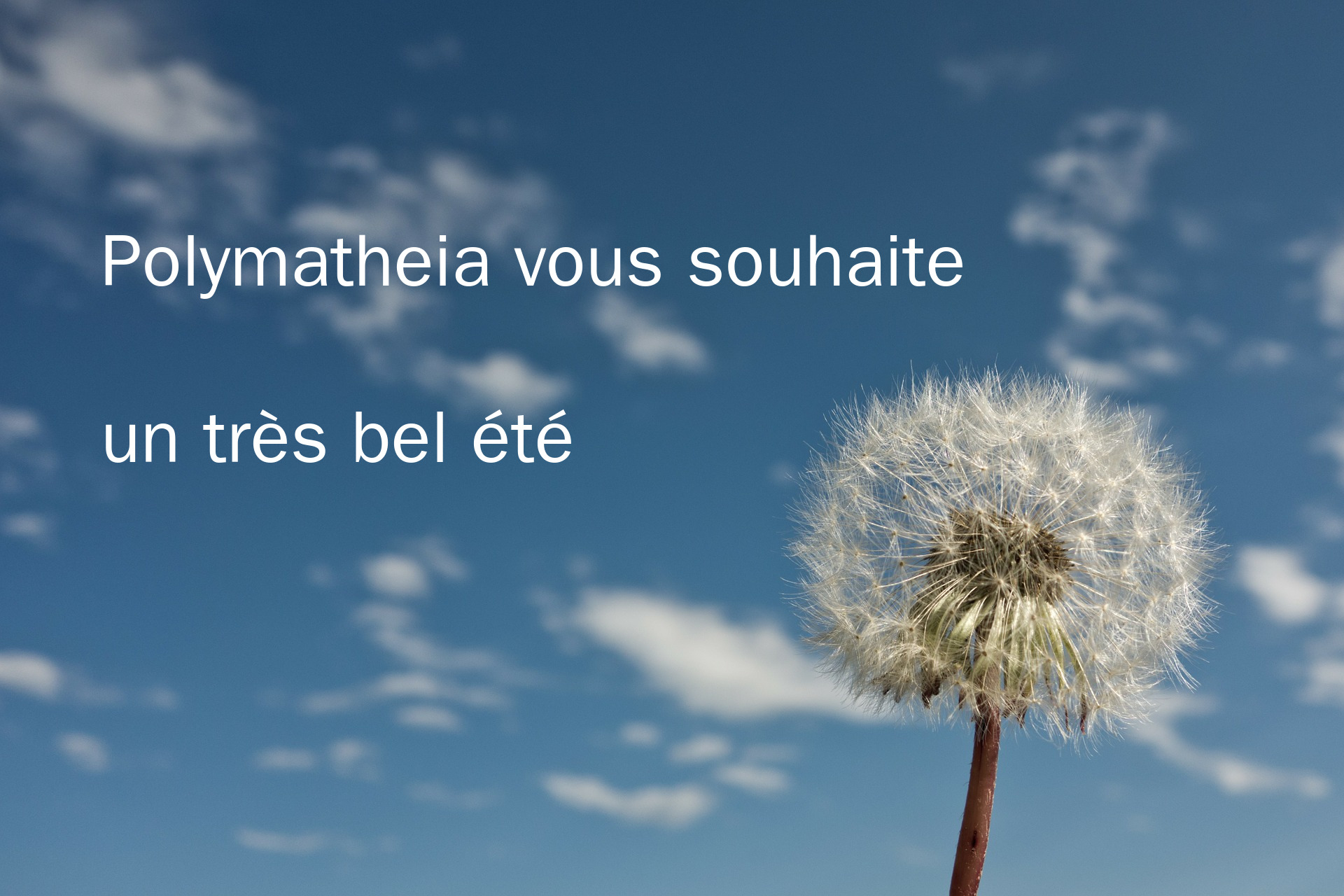 Polymatheia vous souhaite un très bel été ! été_2019